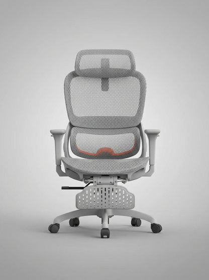 SILLA B100