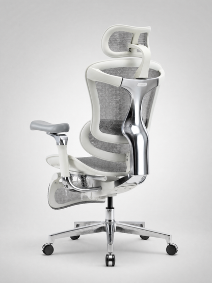 Silla C500 PRO Gris - Vista trasera 3/4